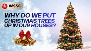 Why do we have Christmas Trees