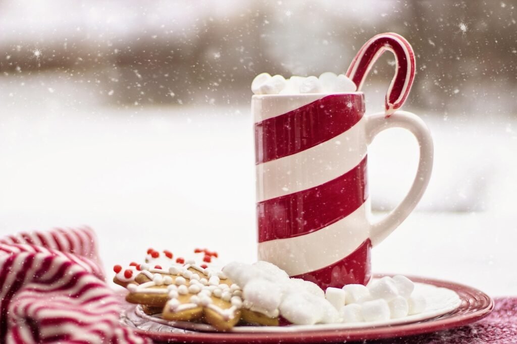 cocoa, hot chocolate, candy cane, mug, snow, holiday, nature, drink, beverage, red, christmas, seasonal, cookies, marshmallows, christmas wallpaper