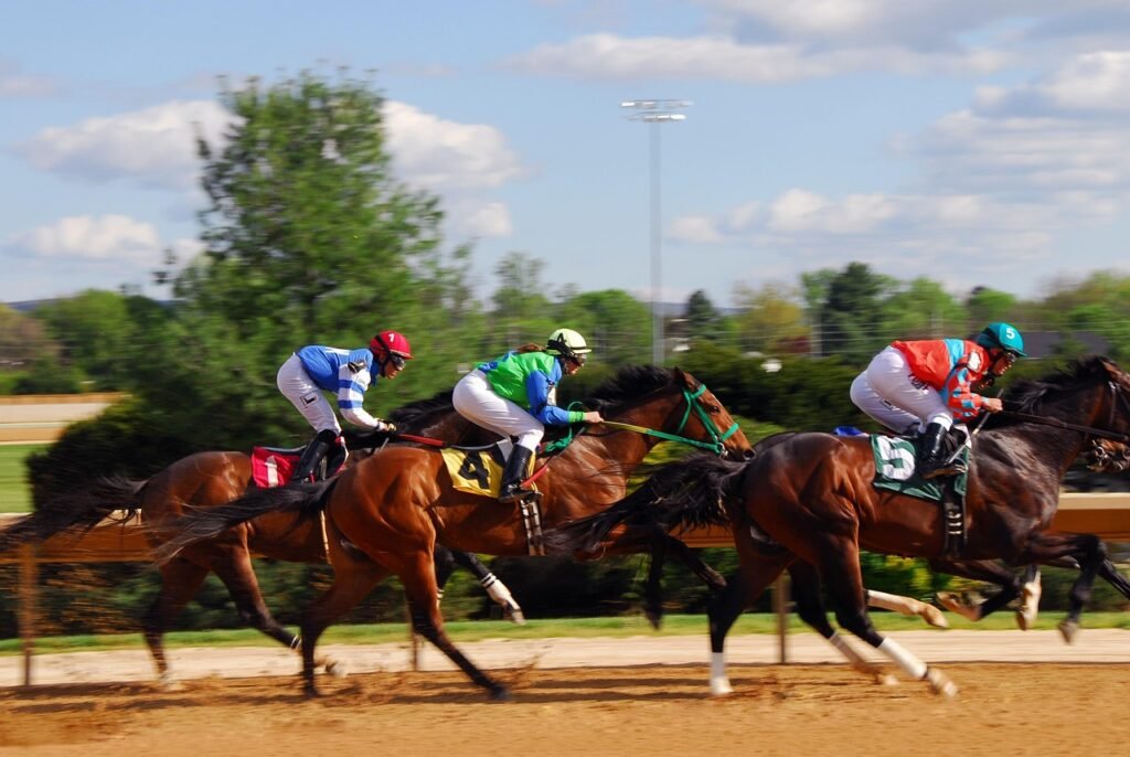 horse racing, race, racehorse, power, speed, equestrian, racing, mustang, strong, fast, horse racing, horse racing, horse racing, horse racing, horse racing